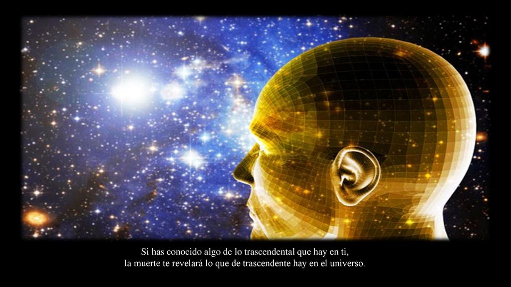Si has conocido algo de lo trascendental que hay en ti,