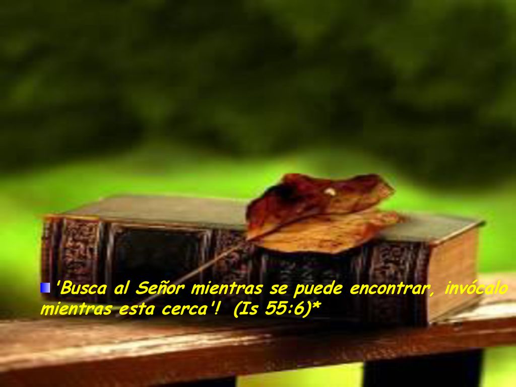 Busca al Señor mientras se puede encontrar, invócalo mientras esta cerca ! (Is 55:6)*