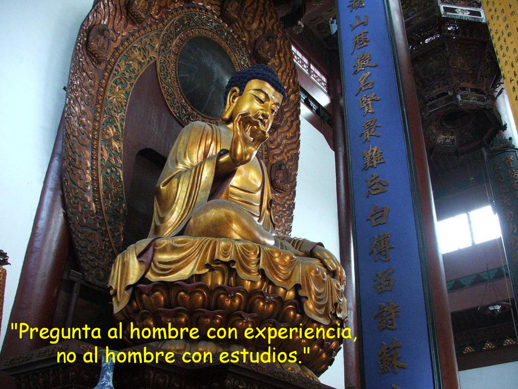 Pregunta al hombre con experiencia, no al hombre con estudios.