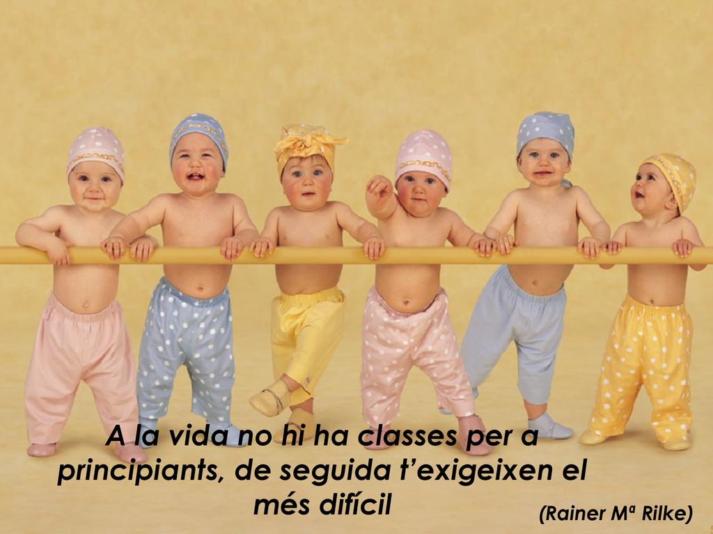 A la vida no hi ha classes per a principiants, de seguida t’exigeixen el més difícil