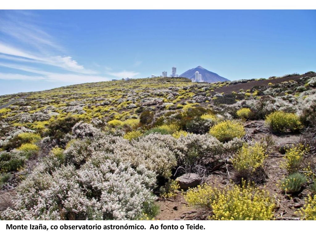 Monte Izaña, co observatorio astronómico. Ao fonto o Teide.