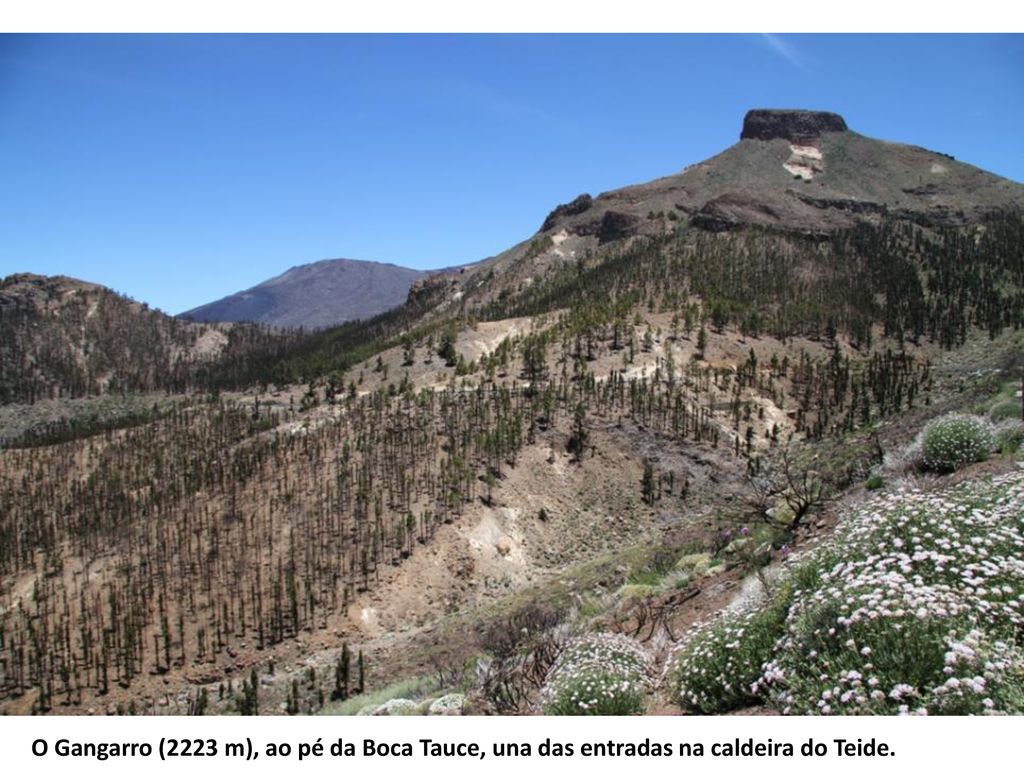 O Gangarro (2223 m), ao pé da Boca Tauce, una das entradas na caldeira do Teide.