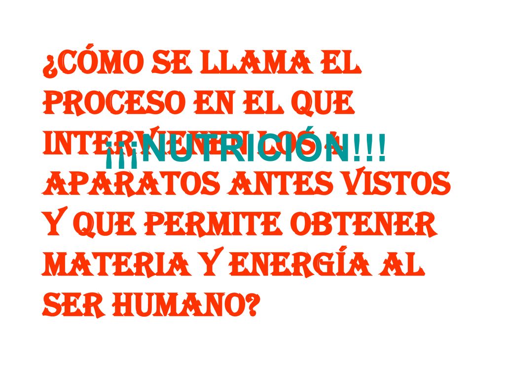 ¿CÓMO SE LLAMA EL PROCESO EN EL QUE INTERVIENEN LOS 4 APARATOS ANTES VISTOS Y QUE PERMITE OBTENER MATERIA Y ENERGÍA AL SER HUMANO
