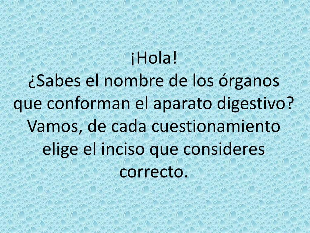 ¡Hola. ¿Sabes el nombre de los órganos que conforman el aparato digestivo.