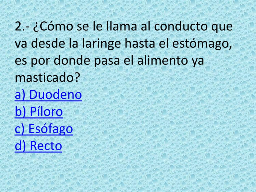 2.- ¿Cómo se le llama al conducto que va desde la laringe hasta el estómago, es por donde pasa el alimento ya masticado.