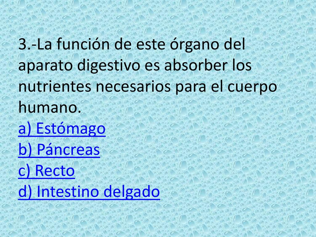 3.-La función de este órgano del aparato digestivo es absorber los nutrientes necesarios para el cuerpo humano.