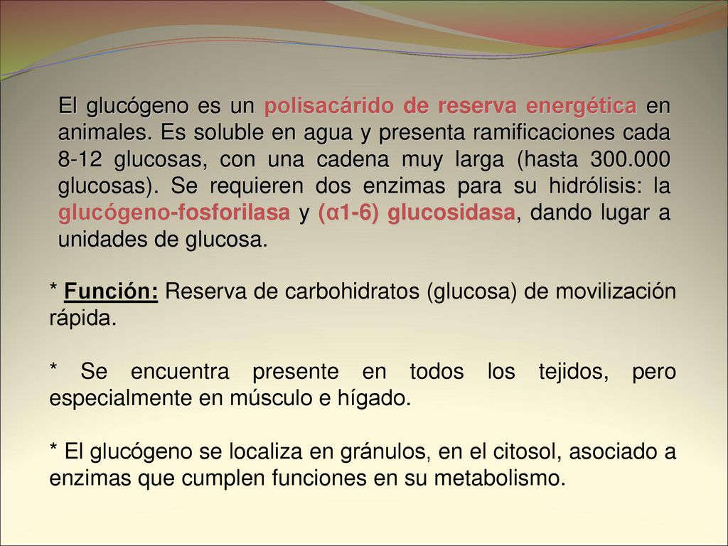 El glucógeno es un polisacárido de reserva energética en animales