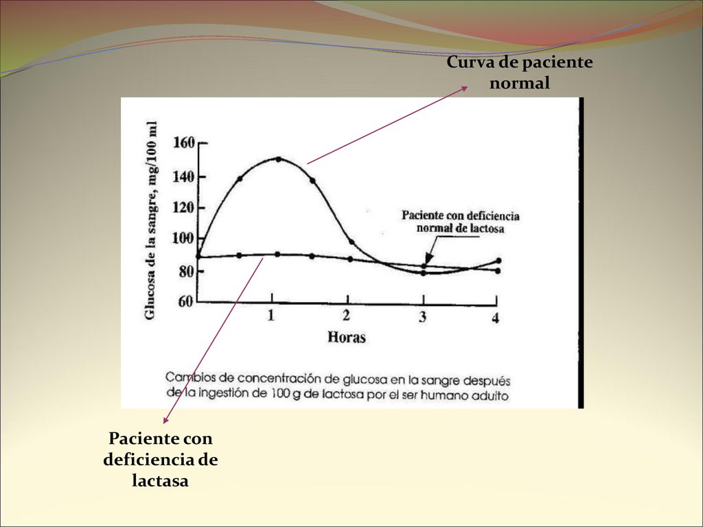 Paciente con deficiencia de lactasa Curva de paciente normal