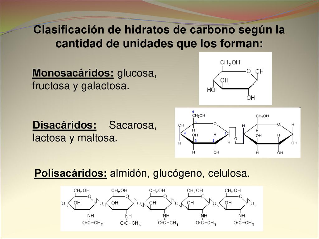 Clasificación de hidratos de carbono según la cantidad de unidades que los forman: