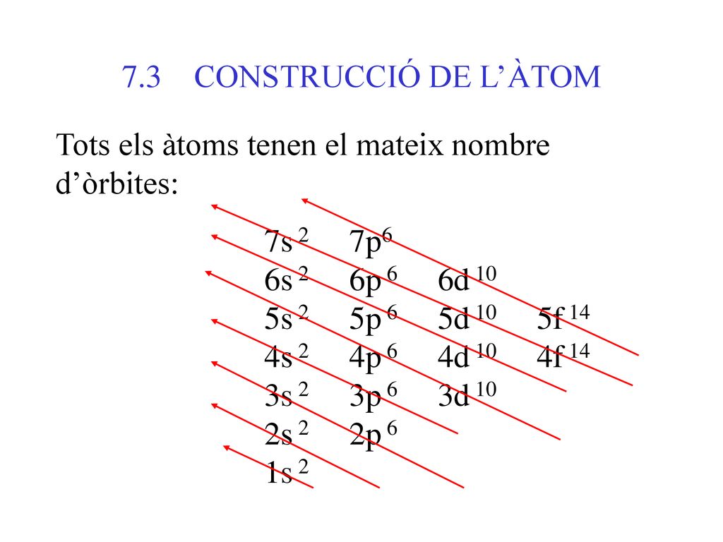 7.3 CONSTRUCCIÓ DE L’ÀTOM Tots els àtoms tenen el mateix nombre d’òrbites: