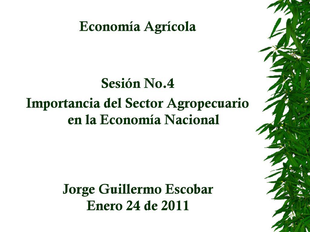 Importancia del Sector Agropecuario en la Economía Nacional