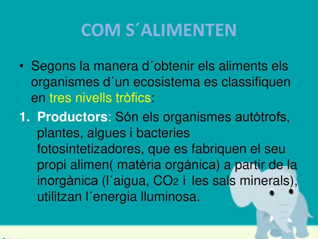 COM S´ALIMENTEN Segons la manera d´obtenir els aliments els organismes d´un ecosistema es classifiquen en tres nivells tròfics: