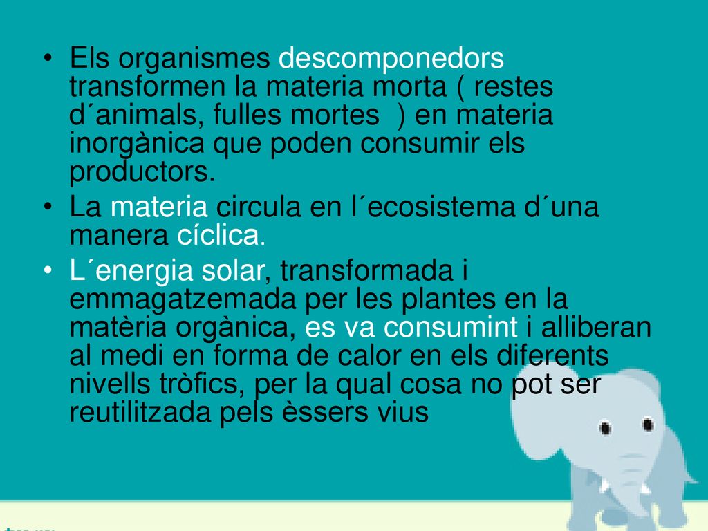 Els organismes descomponedors transformen la materia morta ( restes d´animals, fulles mortes ) en materia inorgànica que poden consumir els productors.