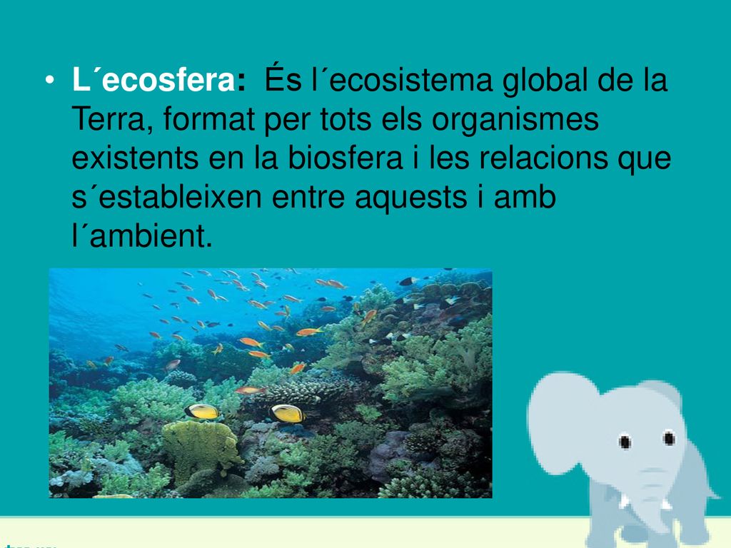 L´ecosfera: És l´ecosistema global de la Terra, format per tots els organismes existents en la biosfera i les relacions que s´estableixen entre aquests i amb l´ambient.