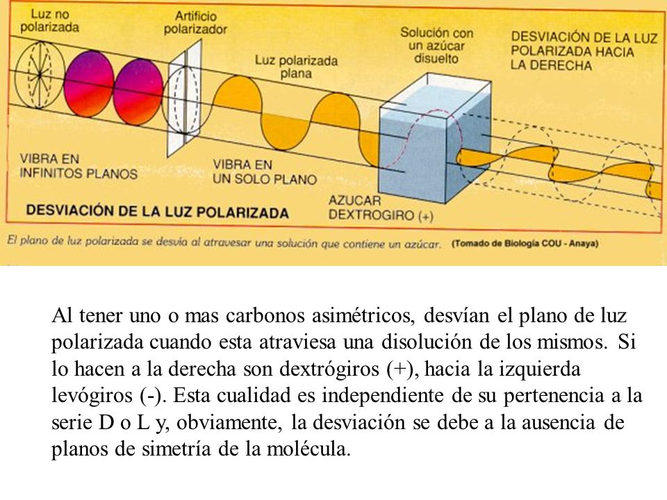 Al tener uno o mas carbonos asimétricos, desvían el plano de luz polarizada cuando esta atraviesa una disolución de los mismos.