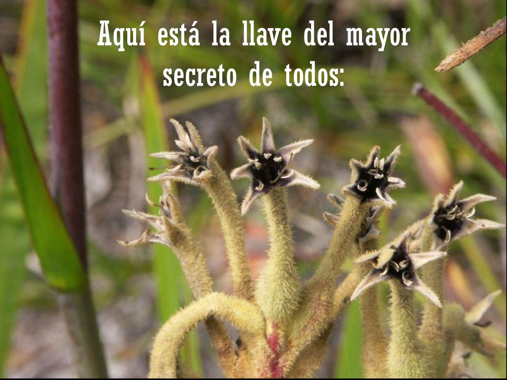 Aquí está la llave del mayor secreto de todos: