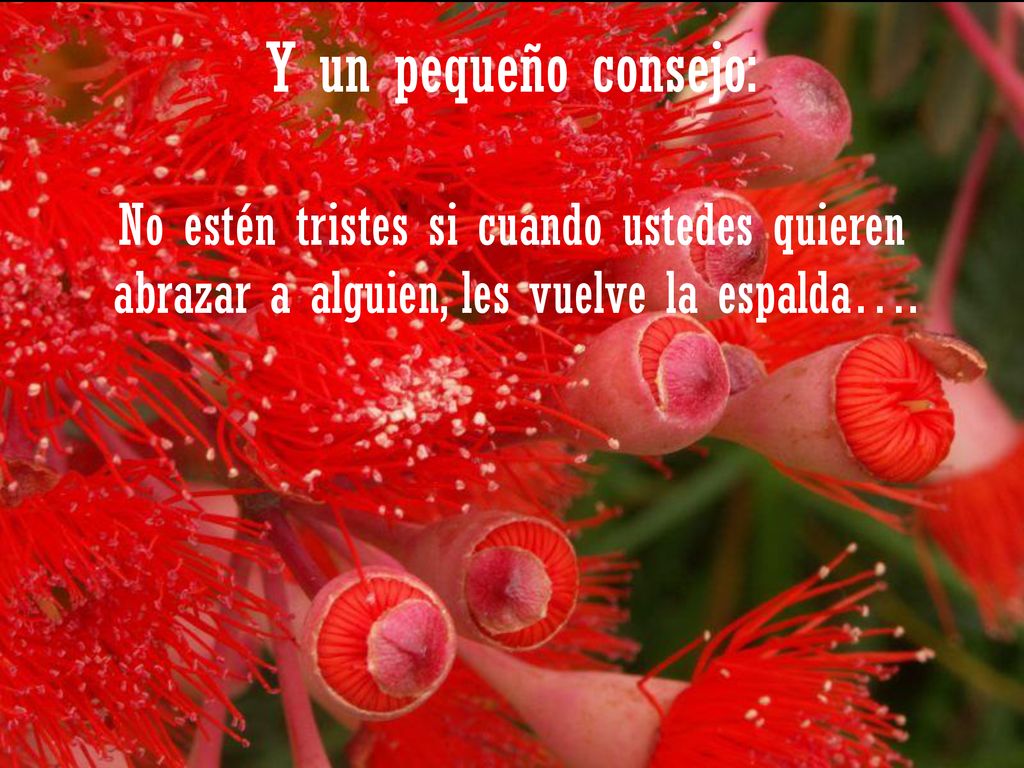 Y un pequeño consejo: No estén tristes si cuando ustedes quieren abrazar a alguien, les vuelve la espalda….
