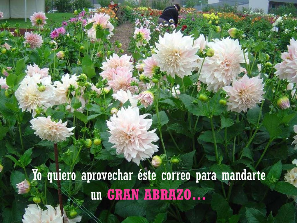 Yo quiero aprovechar éste correo para mandarte
