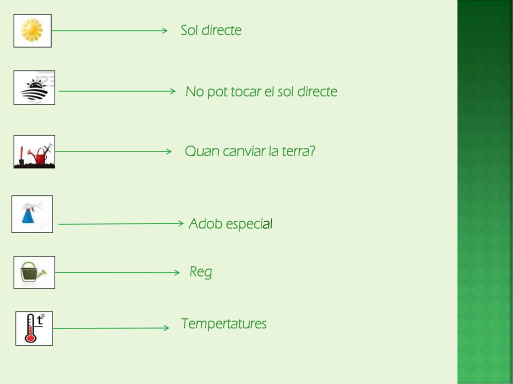 Sol directe No pot tocar el sol directe Quan canviar la terra Adob especial Reg Tempertatures