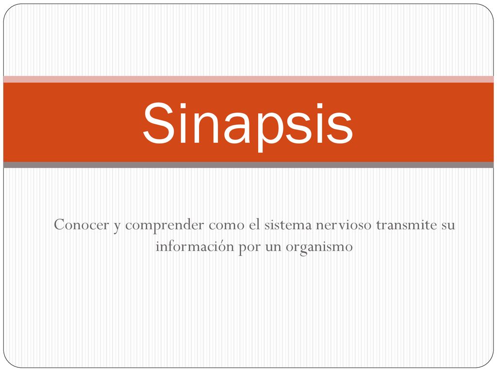 Sinapsis Conocer y comprender como el sistema nervioso transmite su información por un organismo