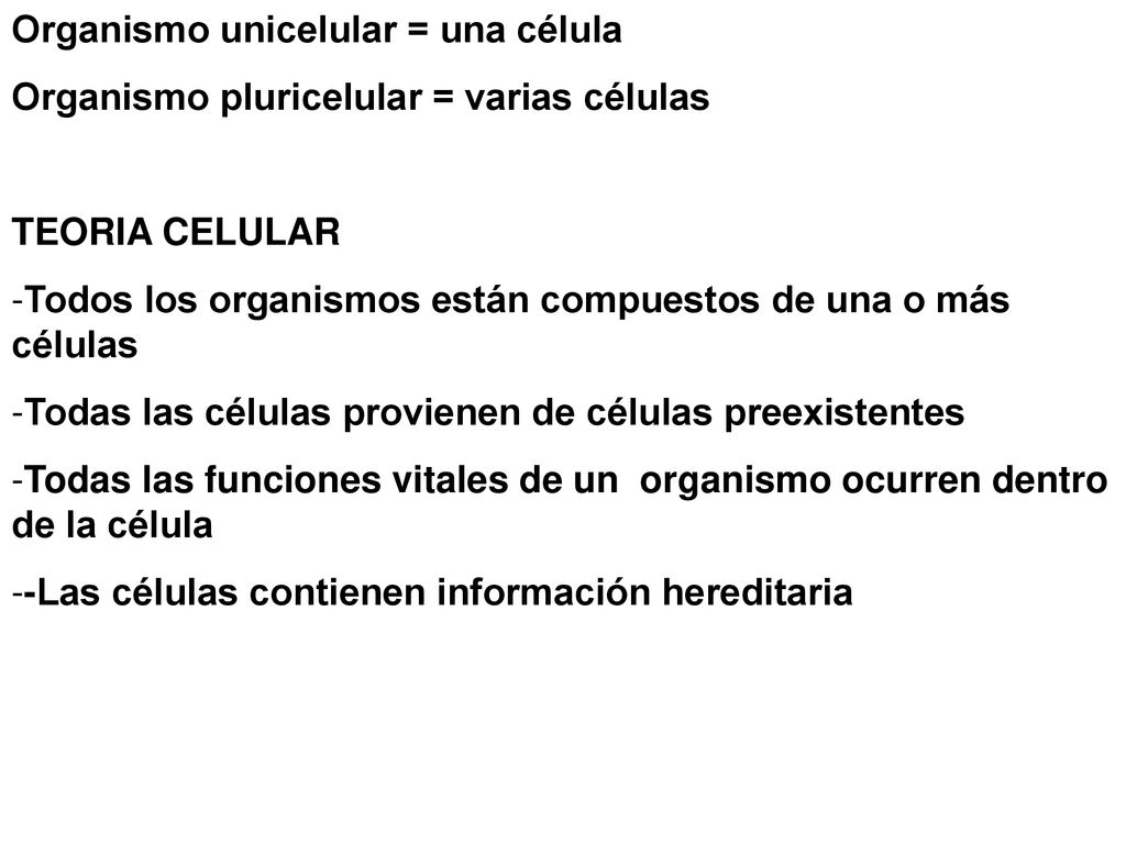 Organismo unicelular = una célula