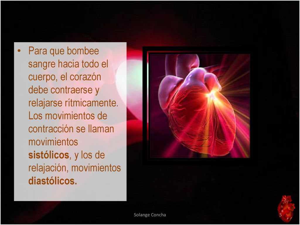 Para que bombee sangre hacia todo el cuerpo, el corazón debe contraerse y relajarse rítmicamente. Los movimientos de contracción se llaman movimientos sistólicos, y los de relajación, movimientos diastólicos.