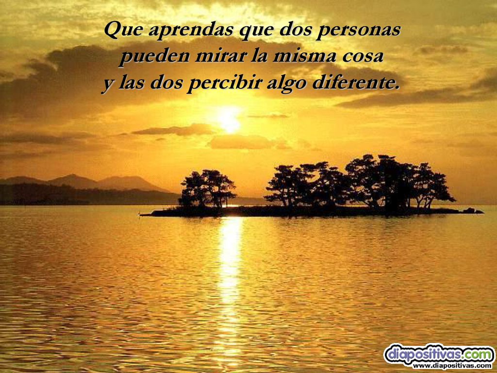 Que aprendas que dos personas pueden mirar la misma cosa