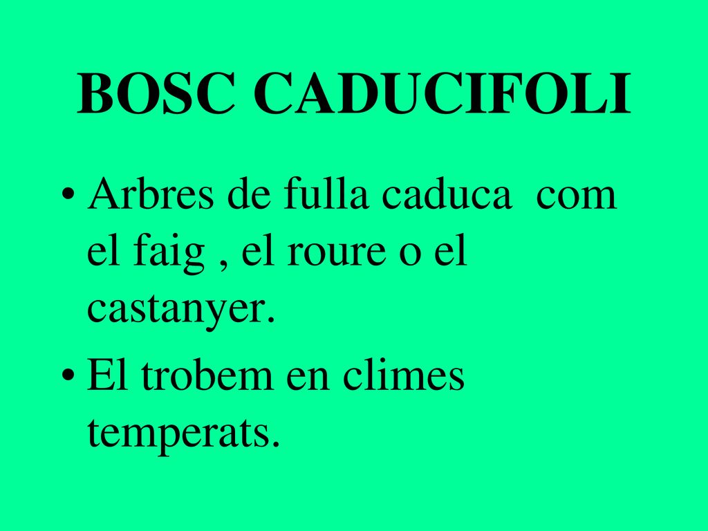 BOSC CADUCIFOLI Arbres de fulla caduca com el faig , el roure o el castanyer.