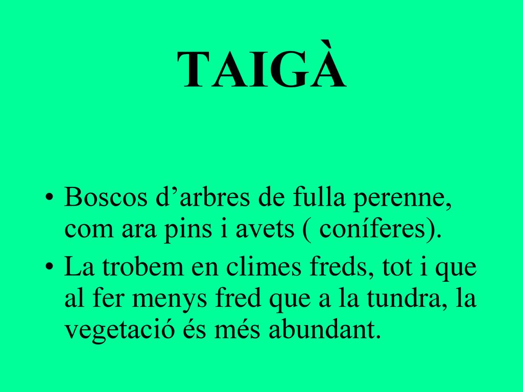 TAIGÀ Boscos d’arbres de fulla perenne, com ara pins i avets ( coníferes).