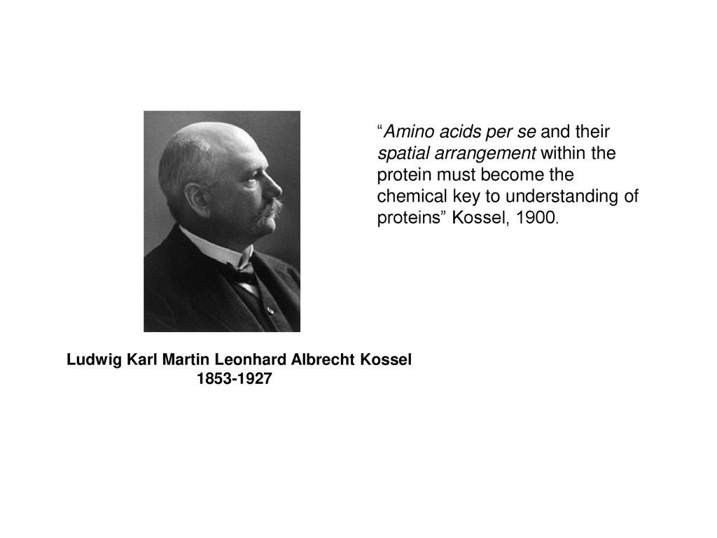 Amino acids per se and their spatial arrangement within the protein must become the chemical key to understanding of proteins Kossel, 1900.