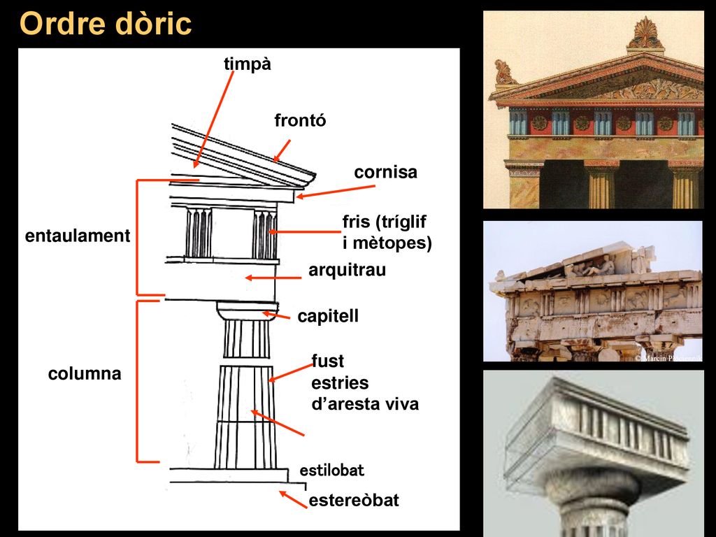 Ordre dòric timpà frontó cornisa fris (tríglif i mètopes) entaulament