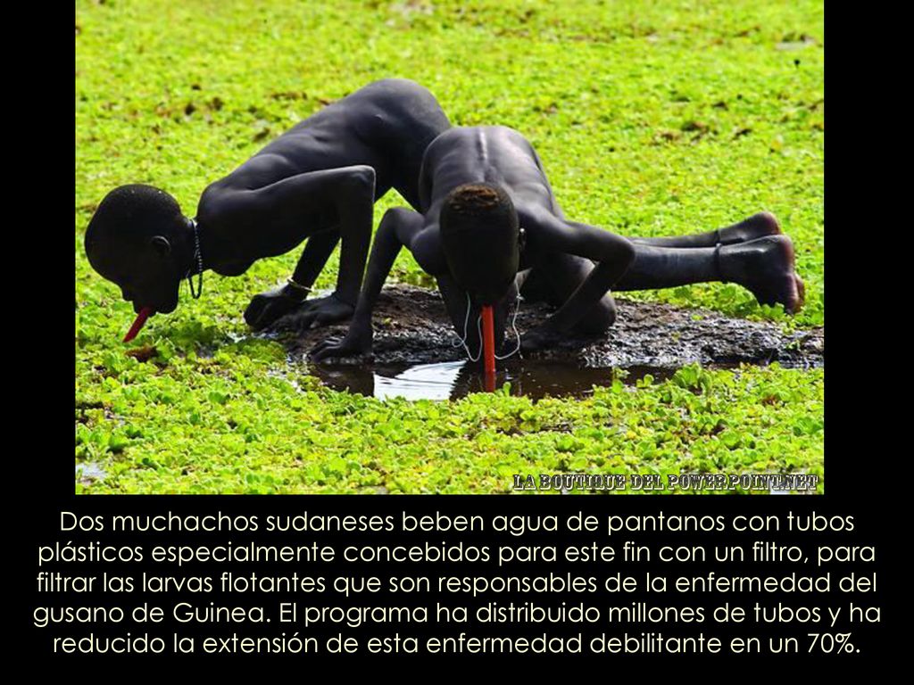 Dos muchachos sudaneses beben agua de pantanos con tubos plásticos especialmente concebidos para este fin con un filtro, para filtrar las larvas flotantes que son responsables de la enfermedad del gusano de Guinea.