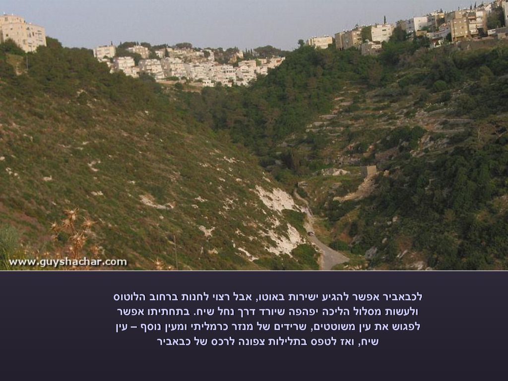 לכבאביר אפשר להגיע ישירות באוטו, אבל רצוי לחנות ברחוב הלוטוס ולעשות מסלול הליכה יפהפה שיורד דרך נחל שיח.