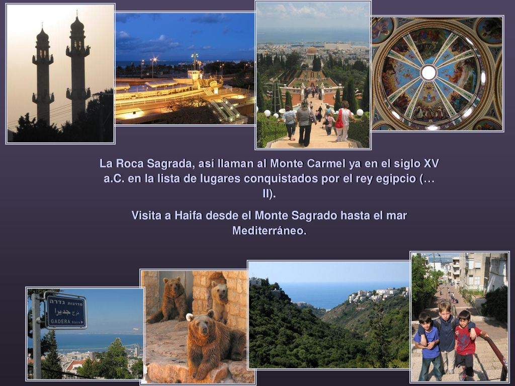 Visita a Haifa desde el Monte Sagrado hasta el mar Mediterráneo.