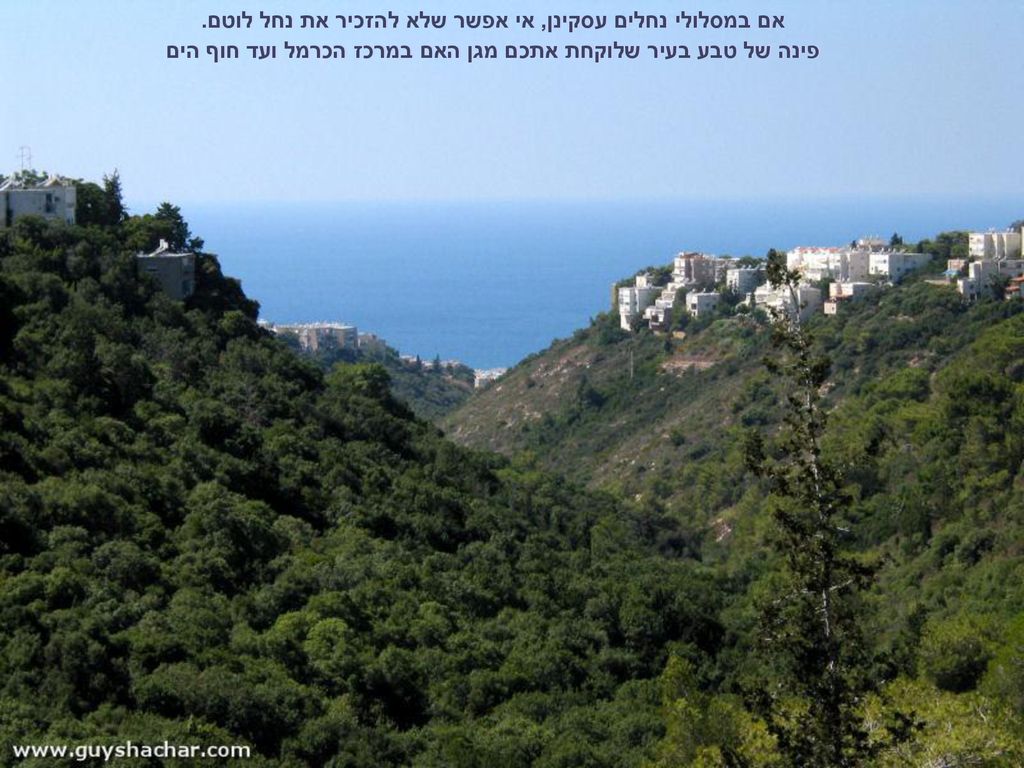אם במסלולי נחלים עסקינן, אי אפשר שלא להזכיר את נחל לוטם