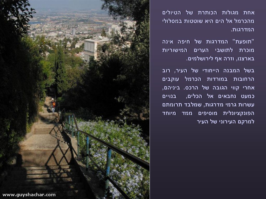 אחת מגולות הכותרת של הטיולים מהכרמל אל הים היא שוטטות במסלולי המדרגות.