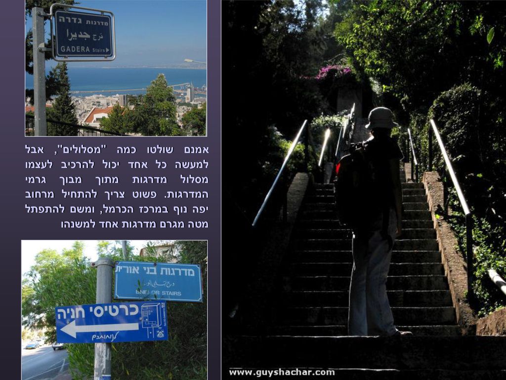 אמנם שולטו כמה מסלולים , אבל למעשה כל אחד יכול להרכיב לעצמו מסלול מדרגות מתוך מבוך גרמי המדרגות.