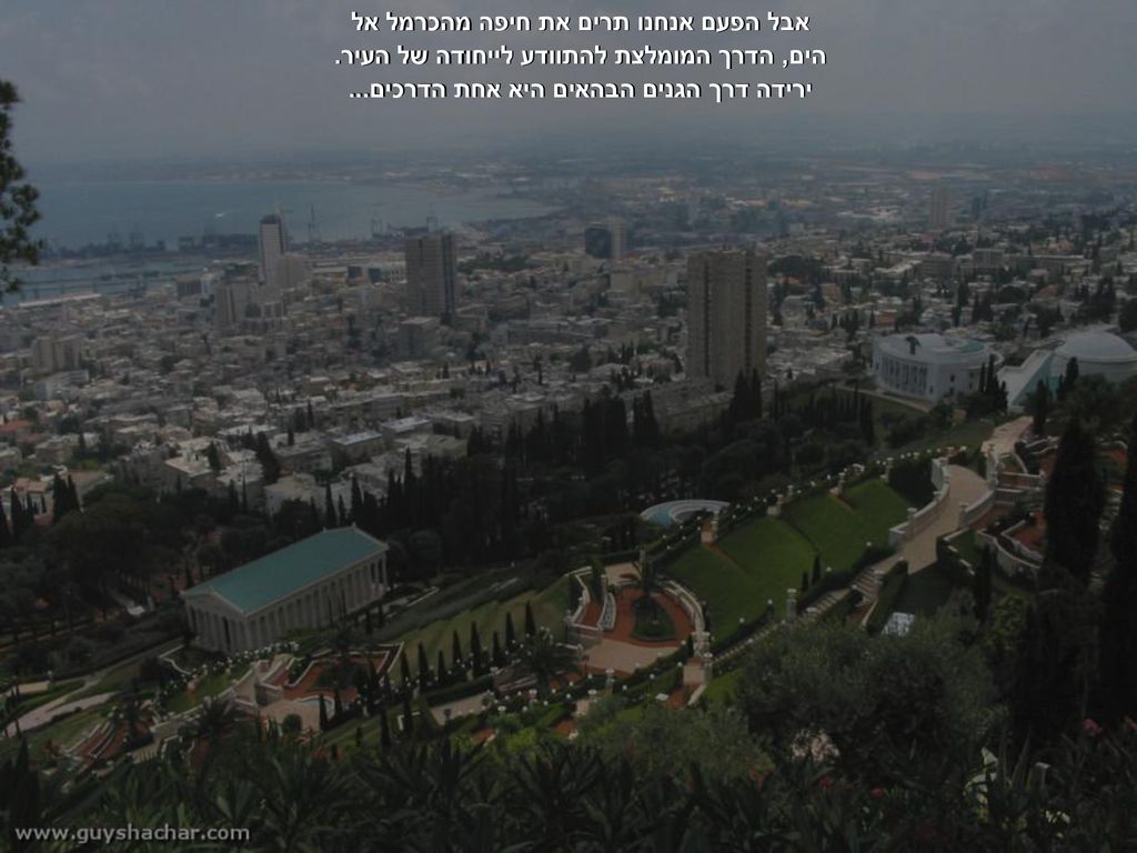 אבל הפעם אנחנו תרים את חיפה מהכרמל אל הים, הדרך המומלצת להתוודע לייחודה של העיר.