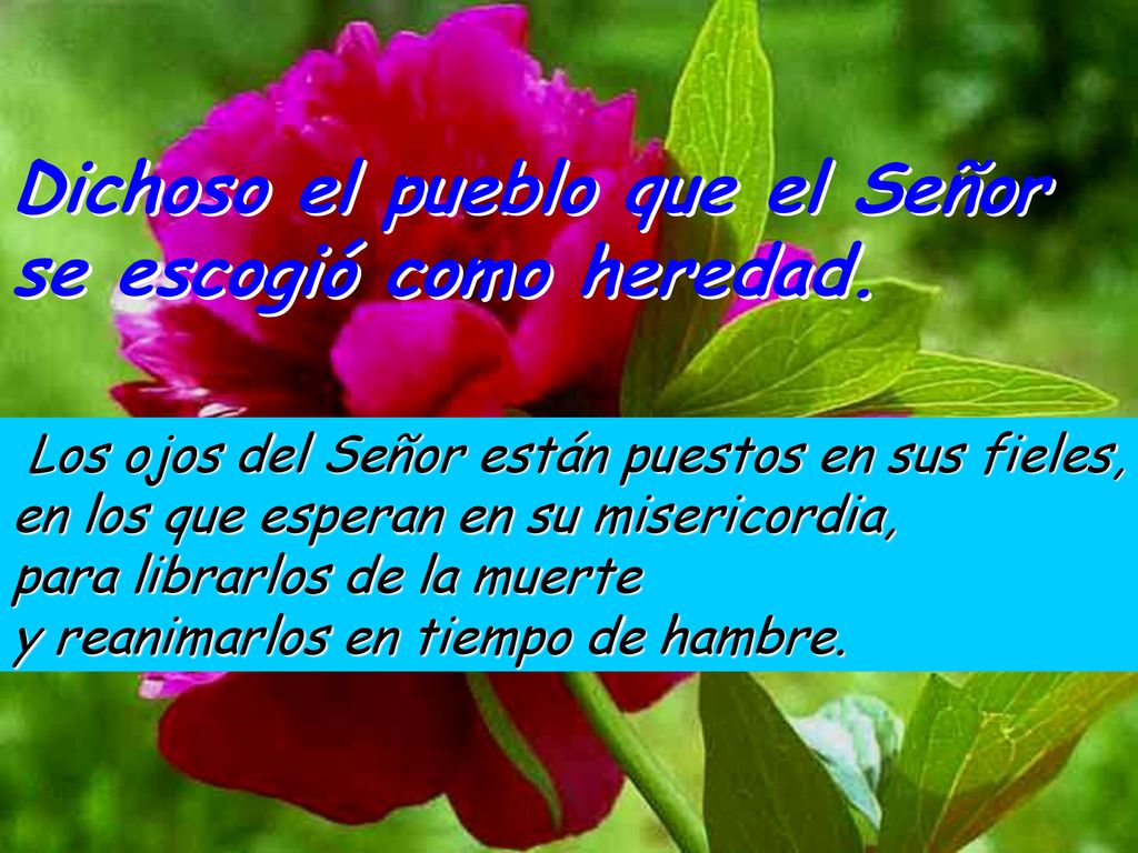 Dichoso el pueblo que el Señor se escogió como heredad.