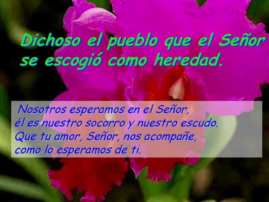 Dichoso el pueblo que el Señor se escogió como heredad.