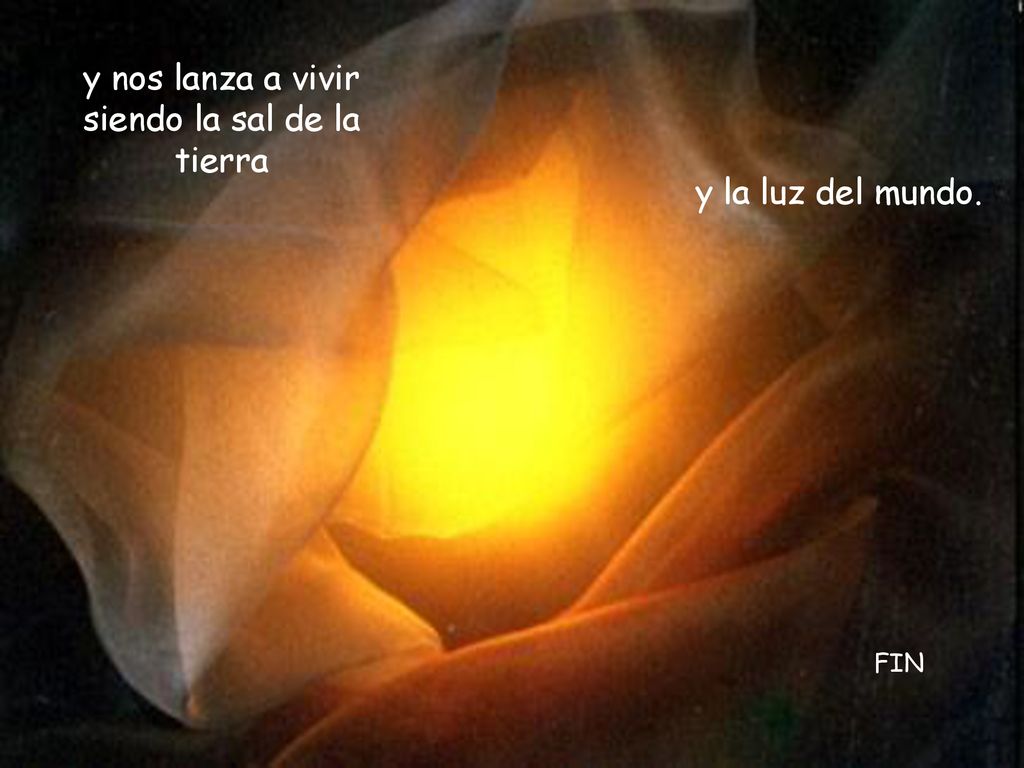 y nos lanza a vivir siendo la sal de la tierra
