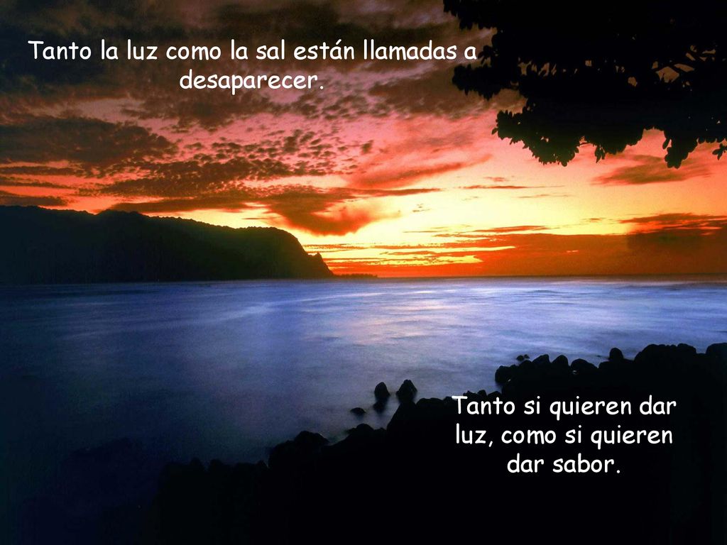 Tanto la luz como la sal están llamadas a desaparecer.