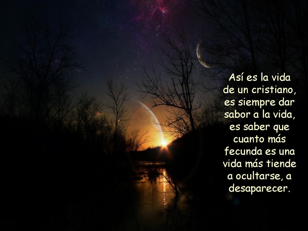 Así es la vida de un cristiano, es siempre dar sabor a la vida, es saber que cuanto más fecunda es una vida más tiende a ocultarse, a desaparecer.