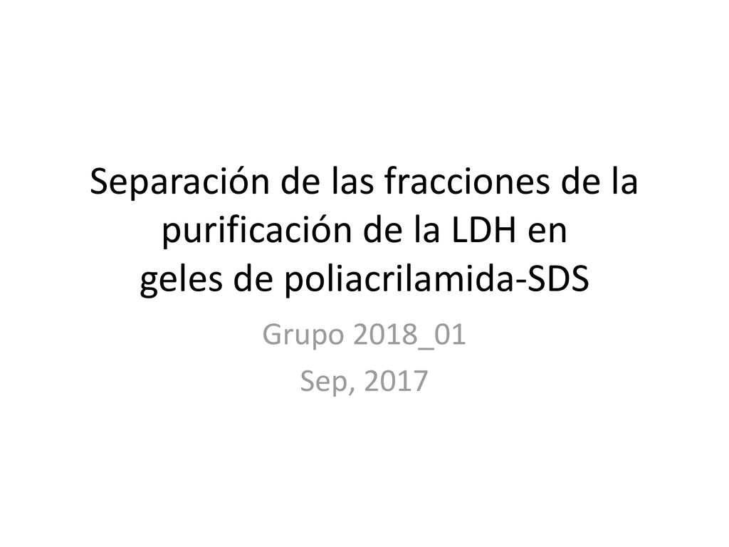 Separación de las fracciones de la purificación de la LDH en geles de poliacrilamida-SDS