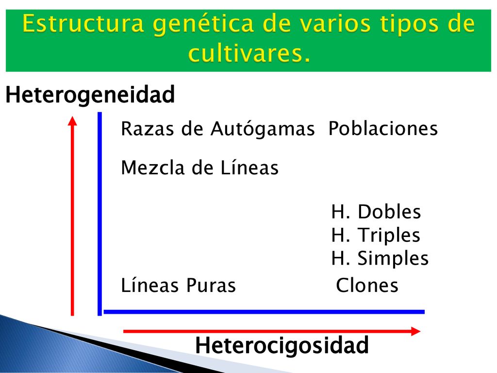Estructura genética de varios tipos de cultivares.