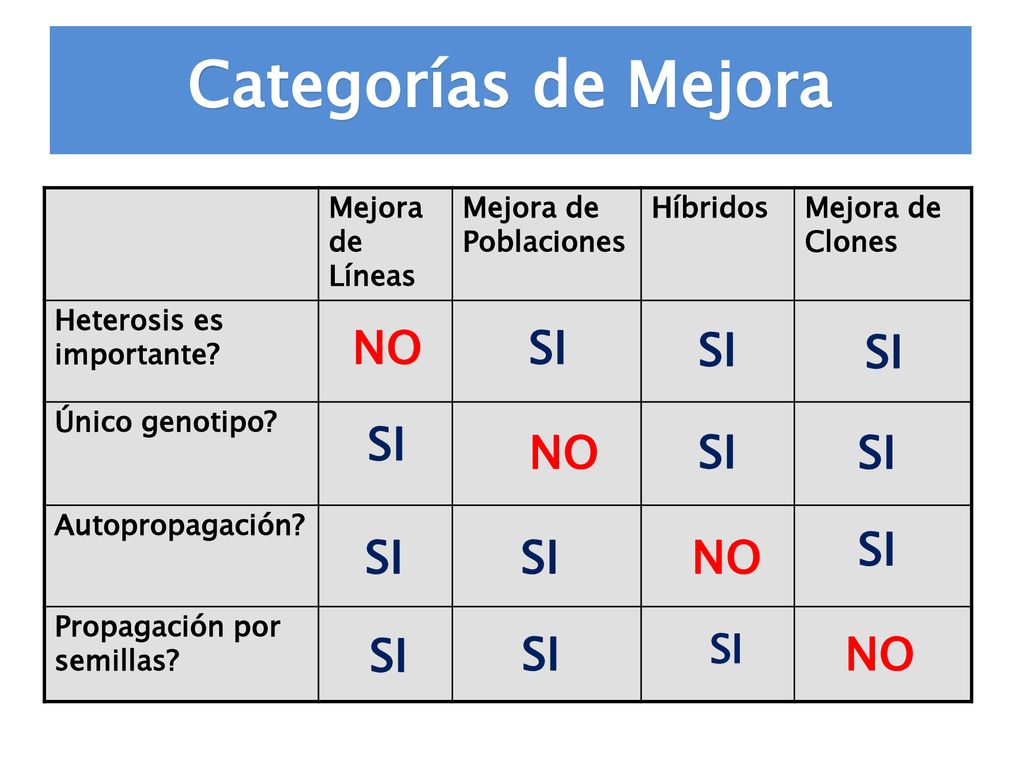 Categorías de Mejora NO SI SI SI SI NO SI SI SI SI SI NO SI SI NO SI