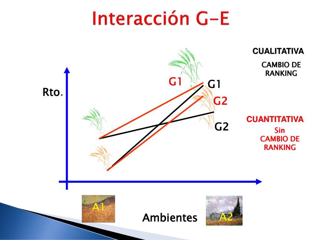 Interacción G-E G1 G1 Rto. G2 G2 A1 Ambientes A2 CUALITATIVA