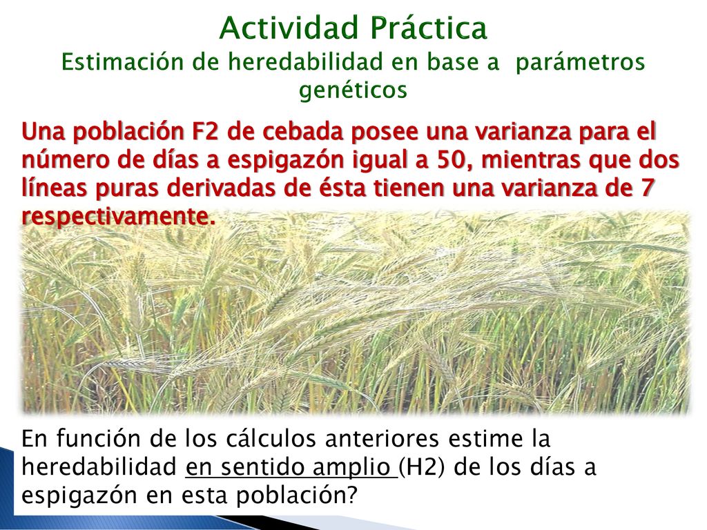 Actividad Práctica Estimación de heredabilidad en base a parámetros genéticos