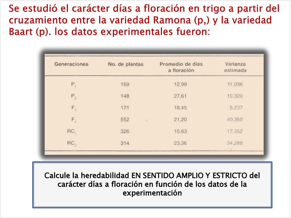 Se estudió el carácter días a floración en trigo a partir del cruzamiento entre la variedad Ramona (p,) y la variedad Baart (p). los datos experimentales fueron: