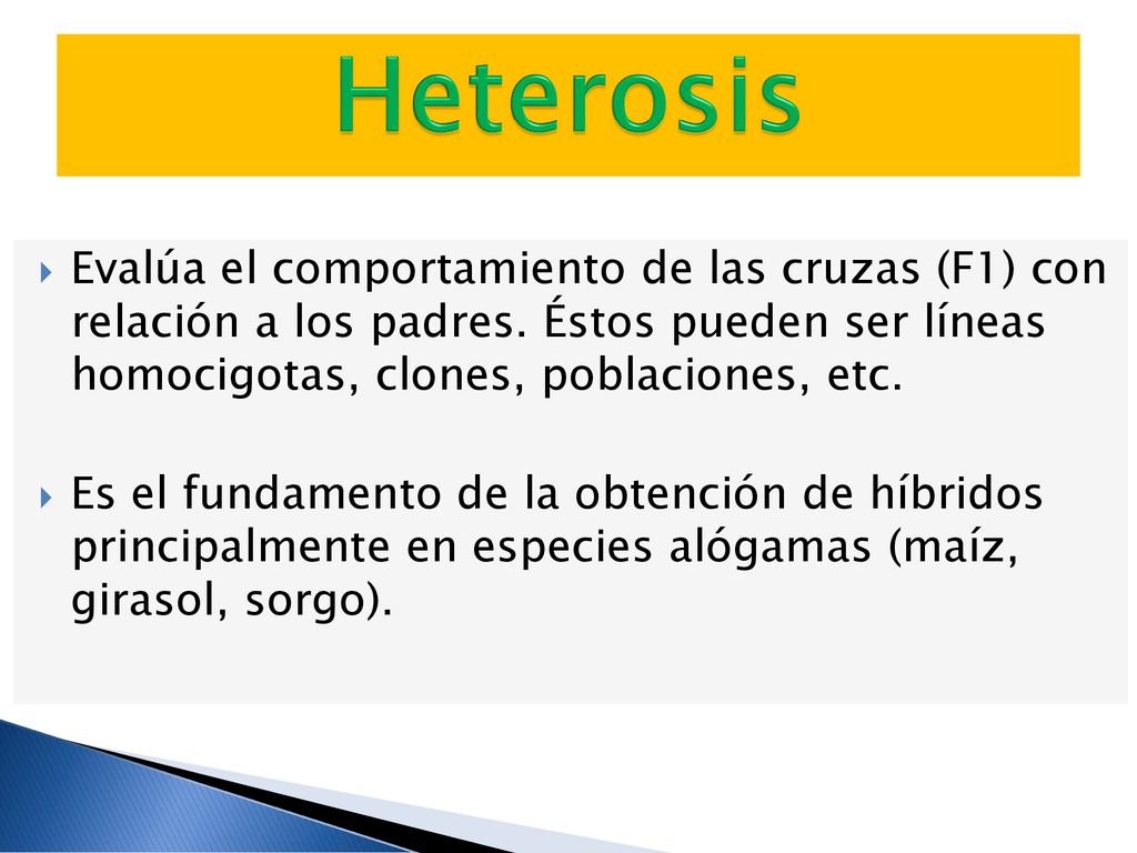 Heterosis Evalúa el comportamiento de las cruzas (F1) con relación a los padres. Éstos pueden ser líneas homocigotas, clones, poblaciones, etc.